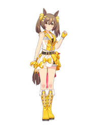 3D模型（動畫）: 繁星演唱會