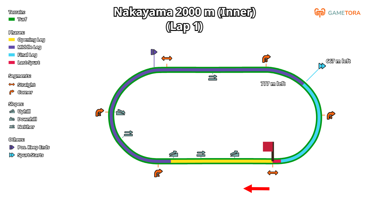 NakayamaTurf2000m1