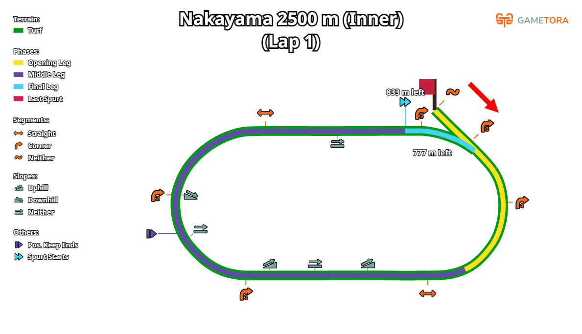 Nakayama2500m1