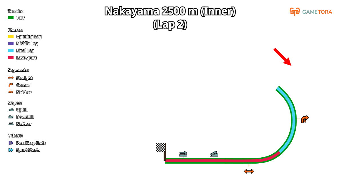 Nakayama2500m2