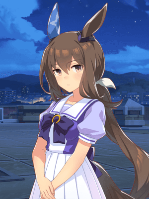 アドマイヤベガ (R) サポートカード