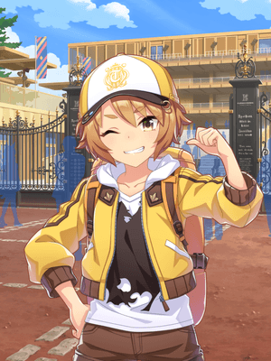Mei Satake (R) Support Card