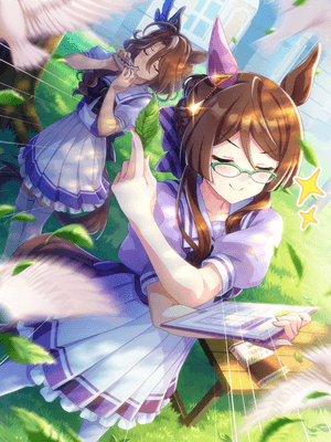 萊斯萊斯 (SR) 支援卡