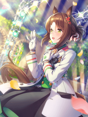 Fine Motion (SSR) Support Card
