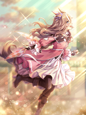 奇銳駿 (SSR) 支援卡