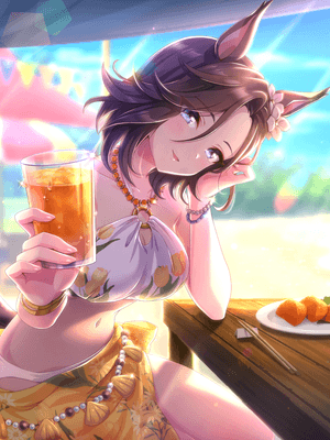 Air Groove (SSR) Support Card