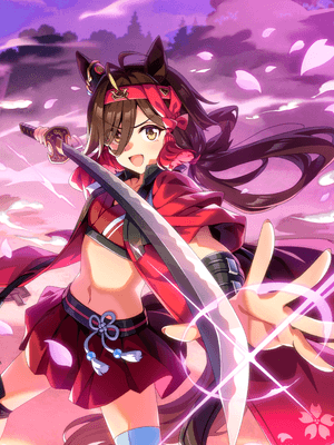 No Reason (SSR) Support Card