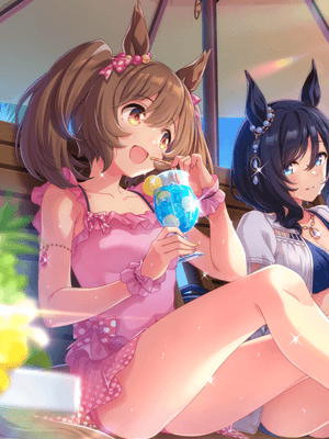 스마트 팔콘 (SSR) 서포트 카드