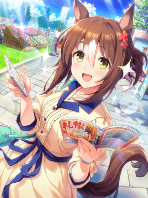 Fine Motion (SSR) Support Card