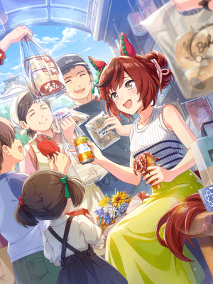 ナイスネイチャ (SSR) サポートカード
