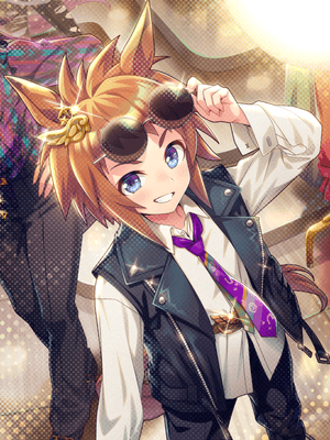 ビコーペガサス (SSR) サポートカード